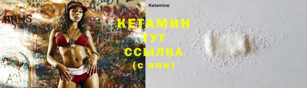 Альфа ПВП Верея