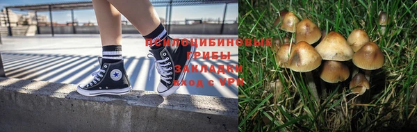 Альфа ПВП Верея