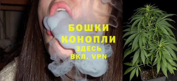 Альфа ПВП Верея